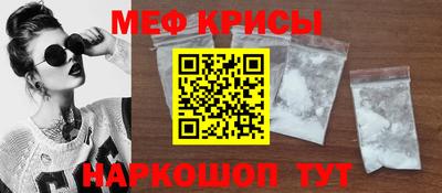 стаф Кингисепп