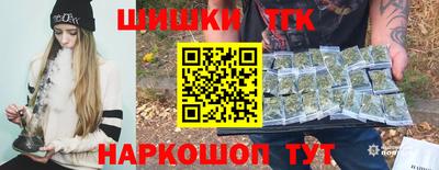 стаф Кингисепп