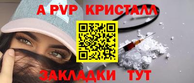 стаф Кингисепп