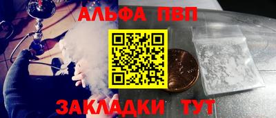 стаф Кингисепп