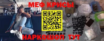 стаф Кингисепп