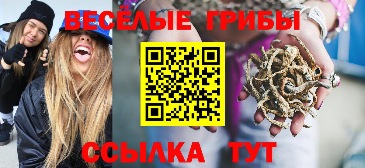 Благовещенск  Псилоцибиновые грибы ЛСД  Вход с VPN  купить наркотики цена  Псилоцибиновые грибы мухоморы 