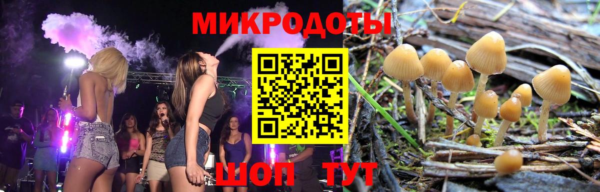 Псилоцибиновые грибы MAGIC MUSHROOMS Благовещенск